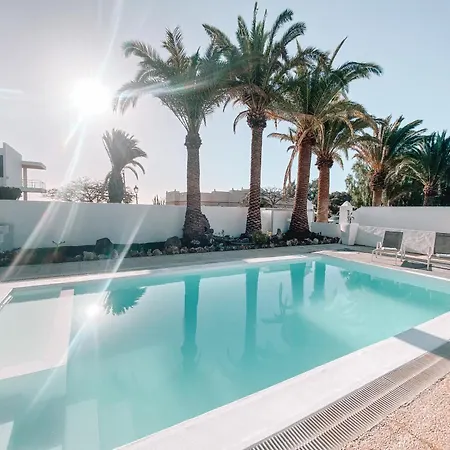 Aivy * 科斯塔特吉塞