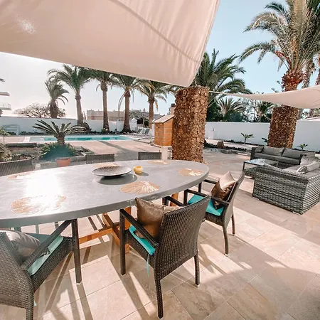 Aivy * 科斯塔特吉塞