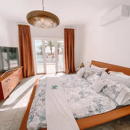 Aivy * 科斯塔特吉塞